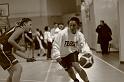 Basket 242004
